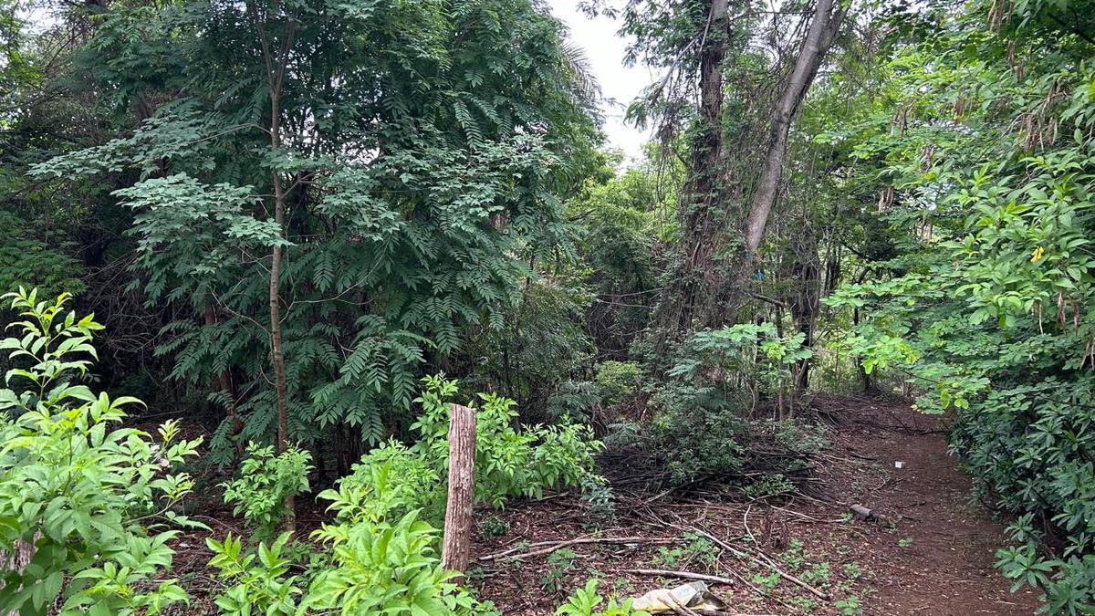 Lote, Jardim Encantado, 0 Quarto, 0 Vaga