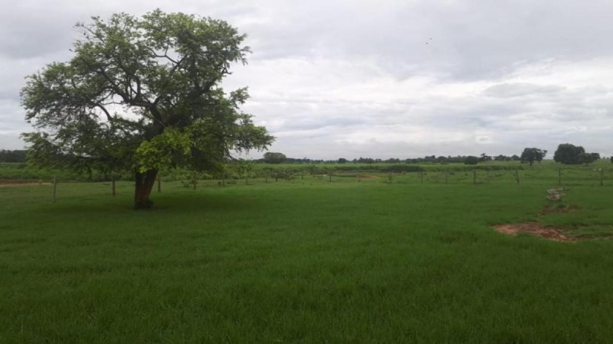 Fazenda, Centro, 0 Quarto, 0 Vaga