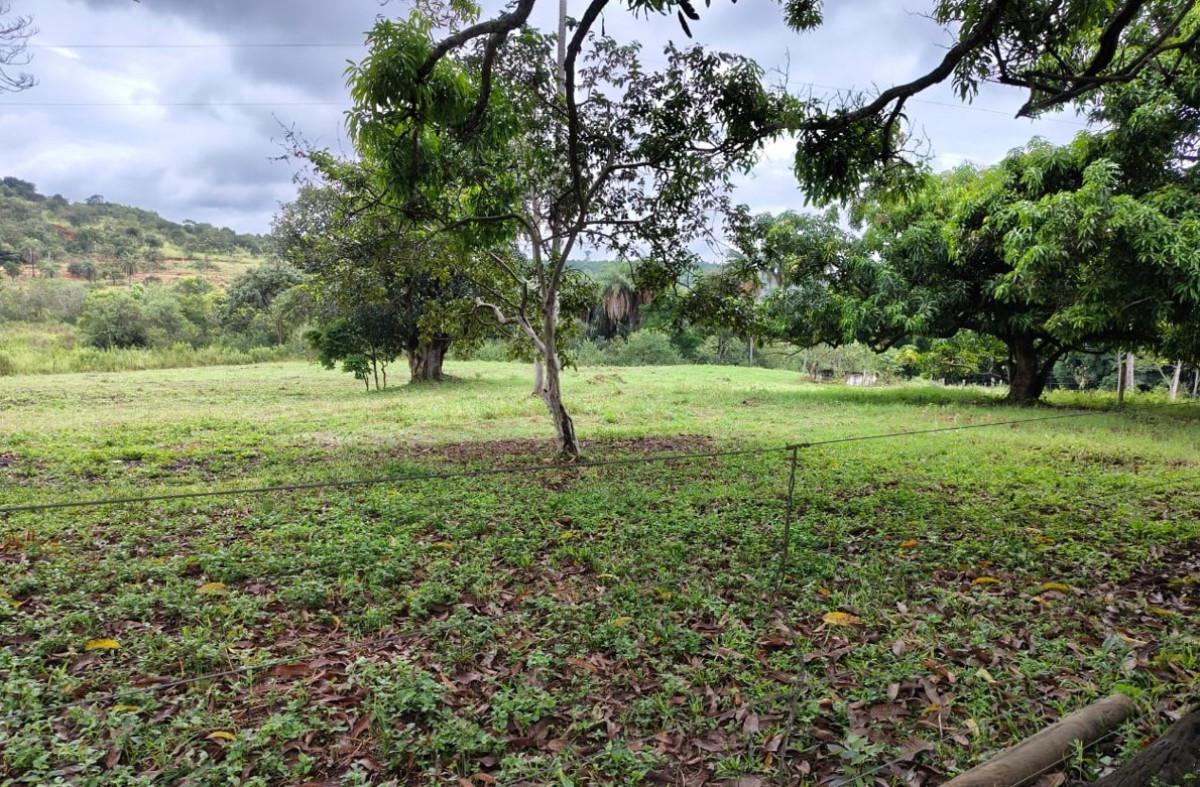 Fazenda, Zona Rural, 5 Quartos, 0 Vaga