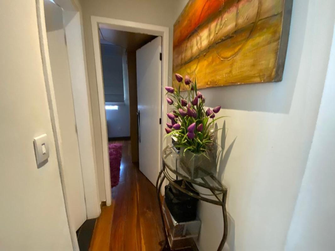 Apartamento, Nova Cachoeirinha, 1 Quarto, 0 Vaga