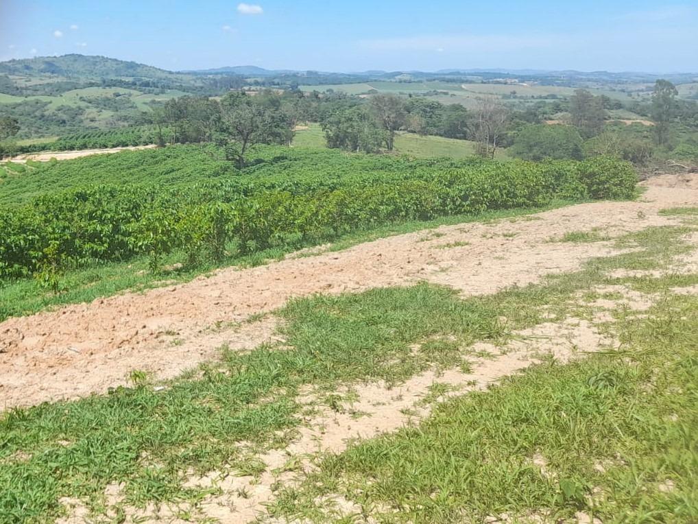 Fazenda, Centro, 1 Quarto, 1 Vaga, 1 Suíte