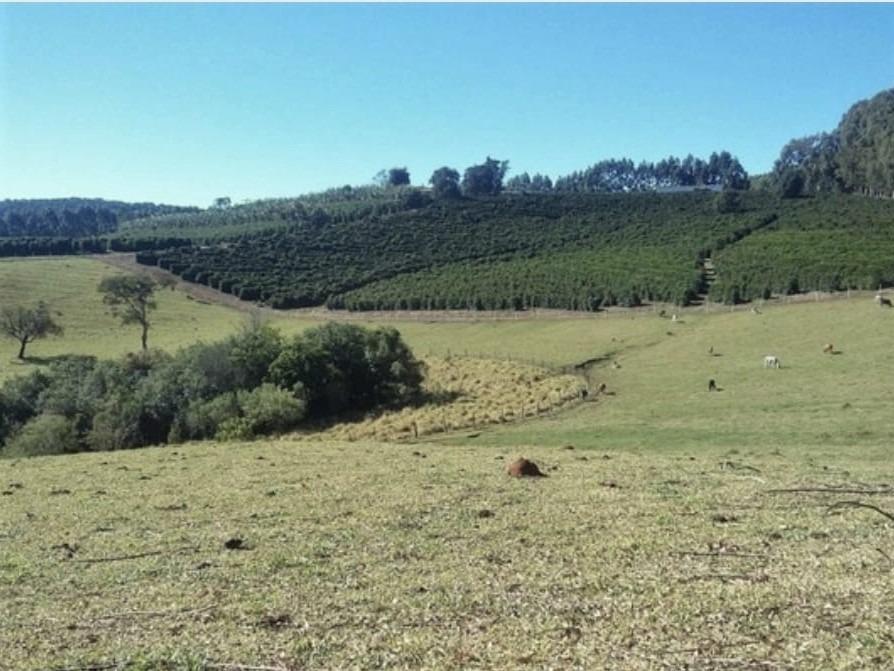 Fazenda, Centro, 3 Quartos, 1 Vaga, 1 Suíte