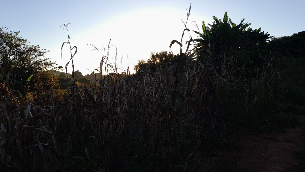 Fazenda, Zona Rural, 0 Quarto, 0 Vaga