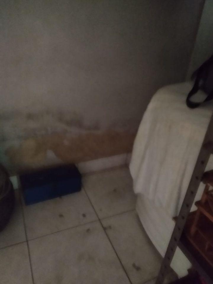 Casa, Guanabara, 3 Quartos, 0 Vaga
