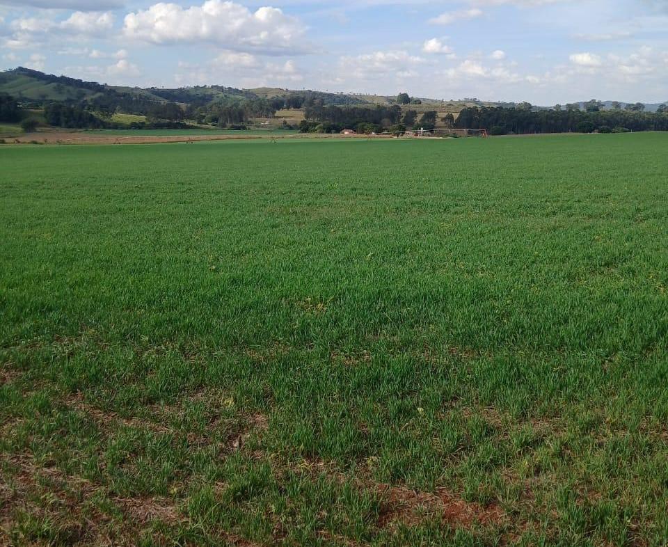 Fazenda, Zona Rural, 3 Quartos, 0 Vaga