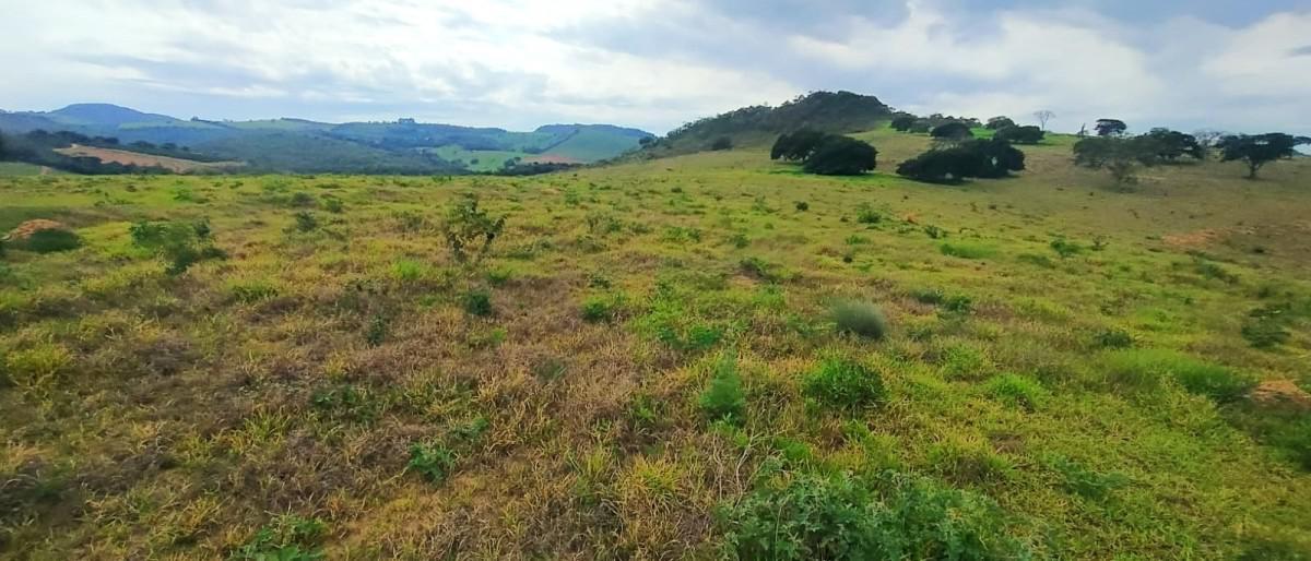 Fazenda, Zona Rural, 0 Quarto, 0 Vaga