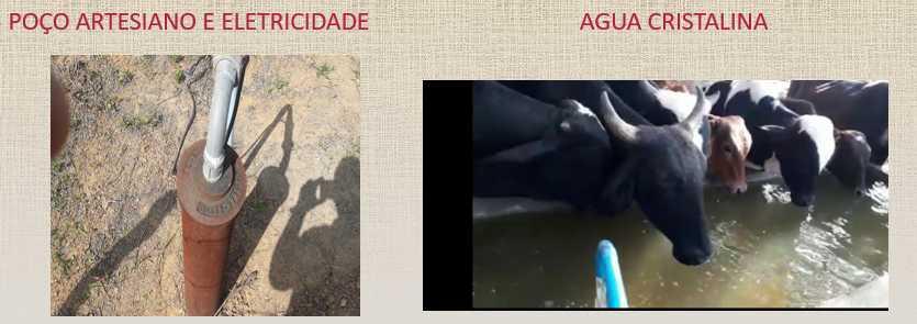 Fazenda, Zona Rural, 0 Quarto, 0 Vaga
