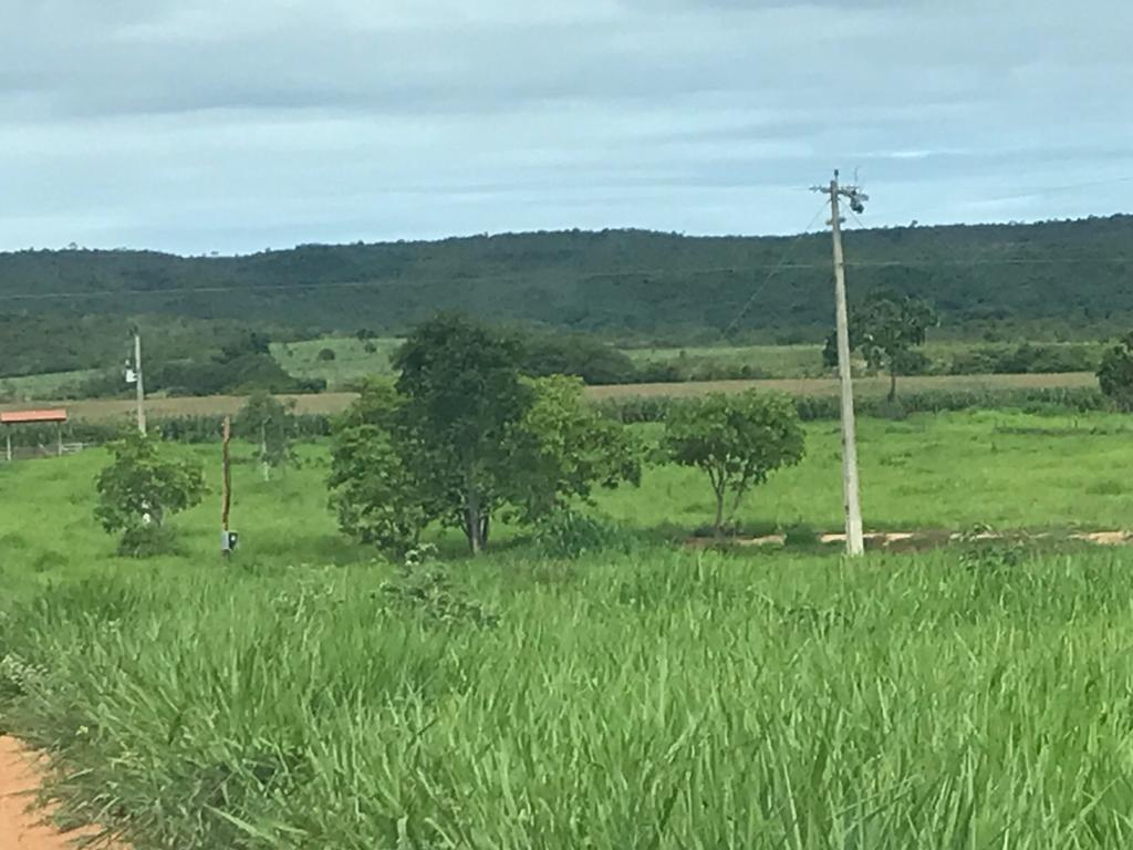 Fazenda, Centro, 3 Quartos, 0 Vaga