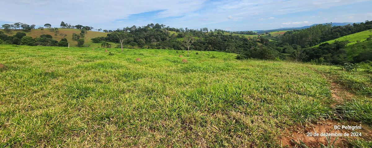 Fazenda, Zona Rural, 0 Quarto, 0 Vaga