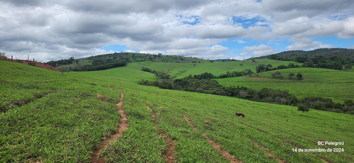 Fazenda, Centro, 3 Quartos, 0 Vaga