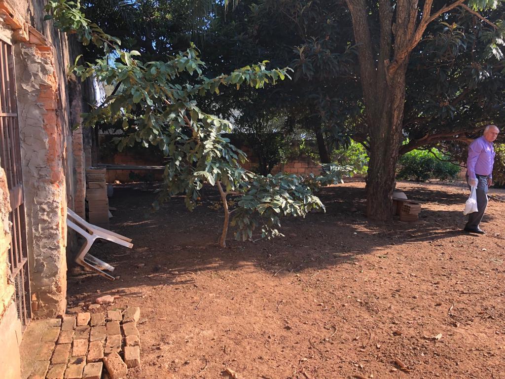 Lote, São Luiz (pampulha)