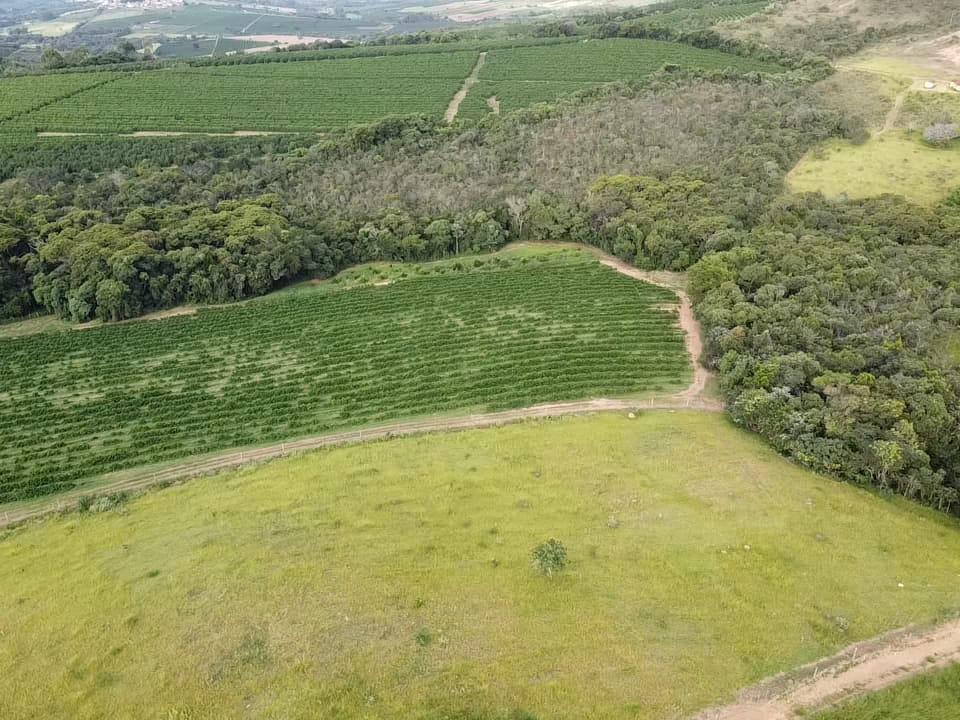 Fazenda, Zona Rural, 0 Quarto, 0 Vaga