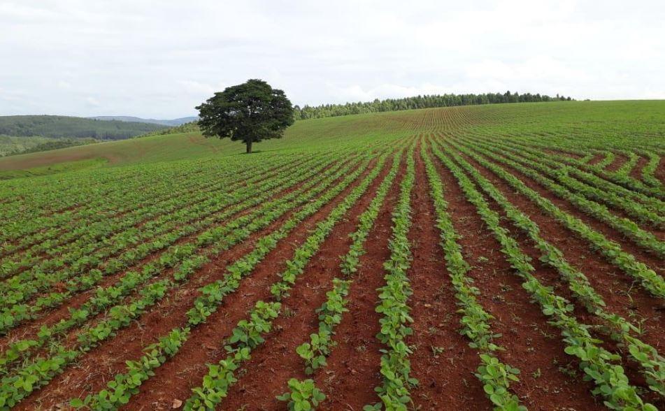 Fazenda, Zona Rural, 2 Quartos, 1 Vaga, 1 Suíte