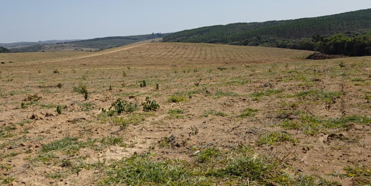 Fazenda, Zona Rural, 0 Quarto, 0 Vaga