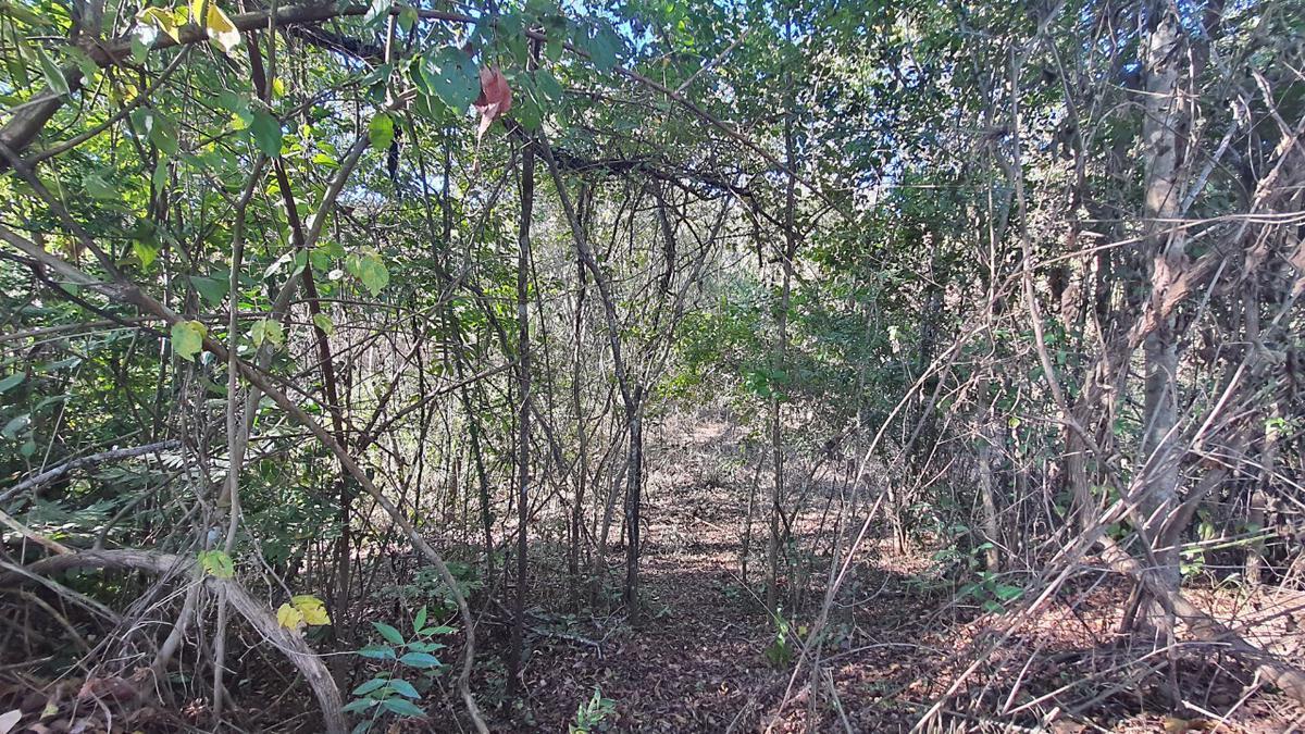 Lote, Ravena, 0 Quarto, 0 Vaga