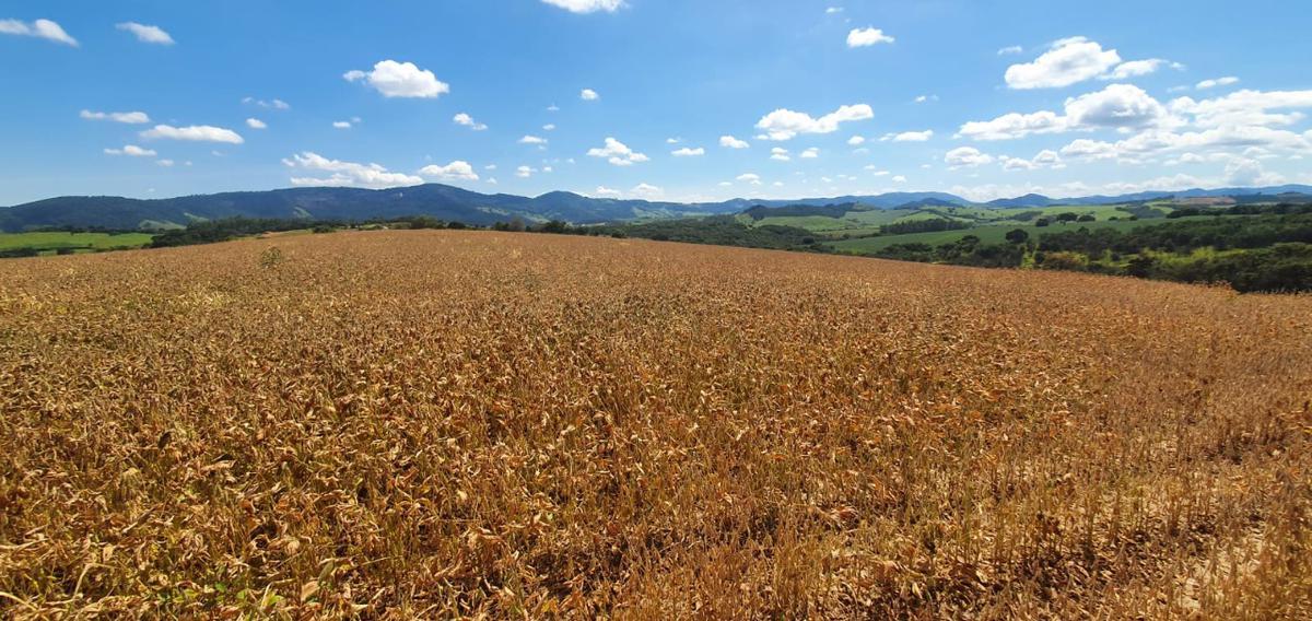 Fazenda, Centro, 1 Quarto, 1 Vaga
