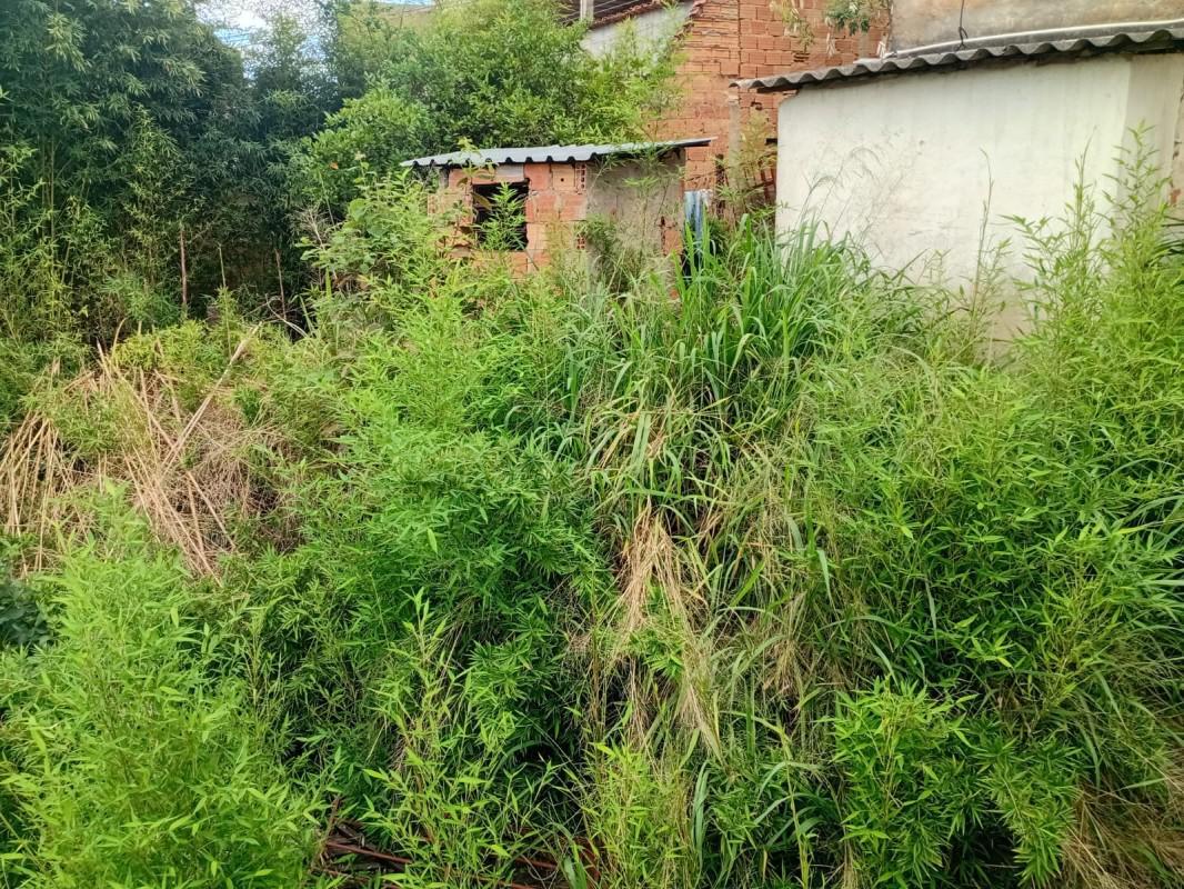 Lote, Inconfidência, 0 Quarto, 0 Vaga