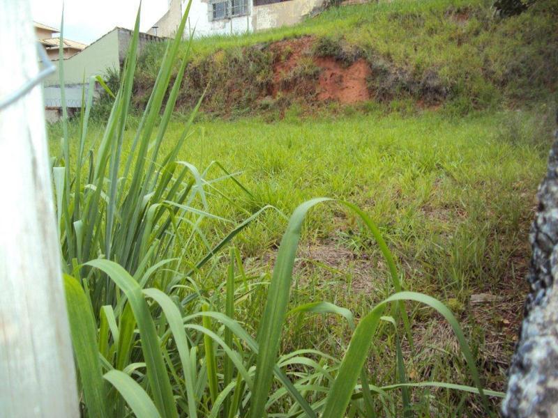 Lote, Planalto