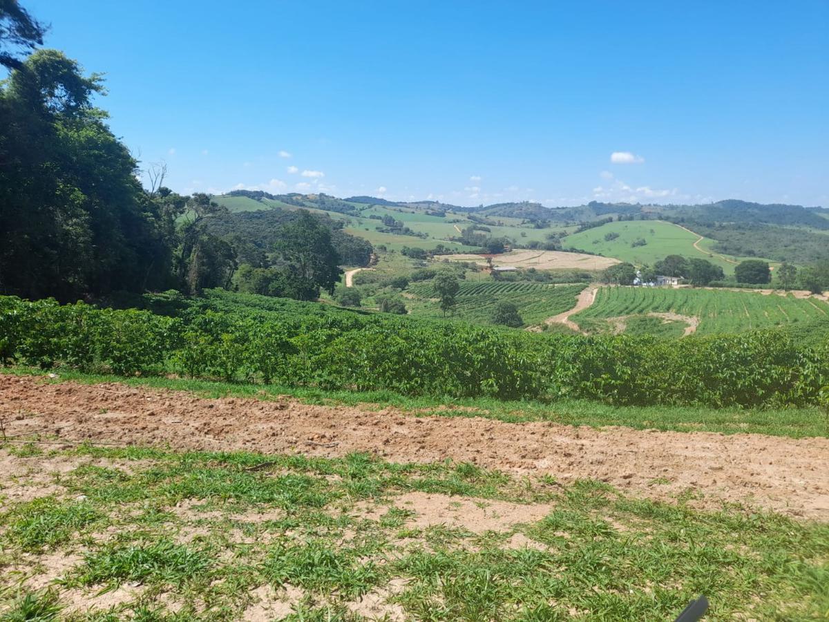 Fazenda, Centro, 1 Quarto, 1 Vaga, 1 Suíte