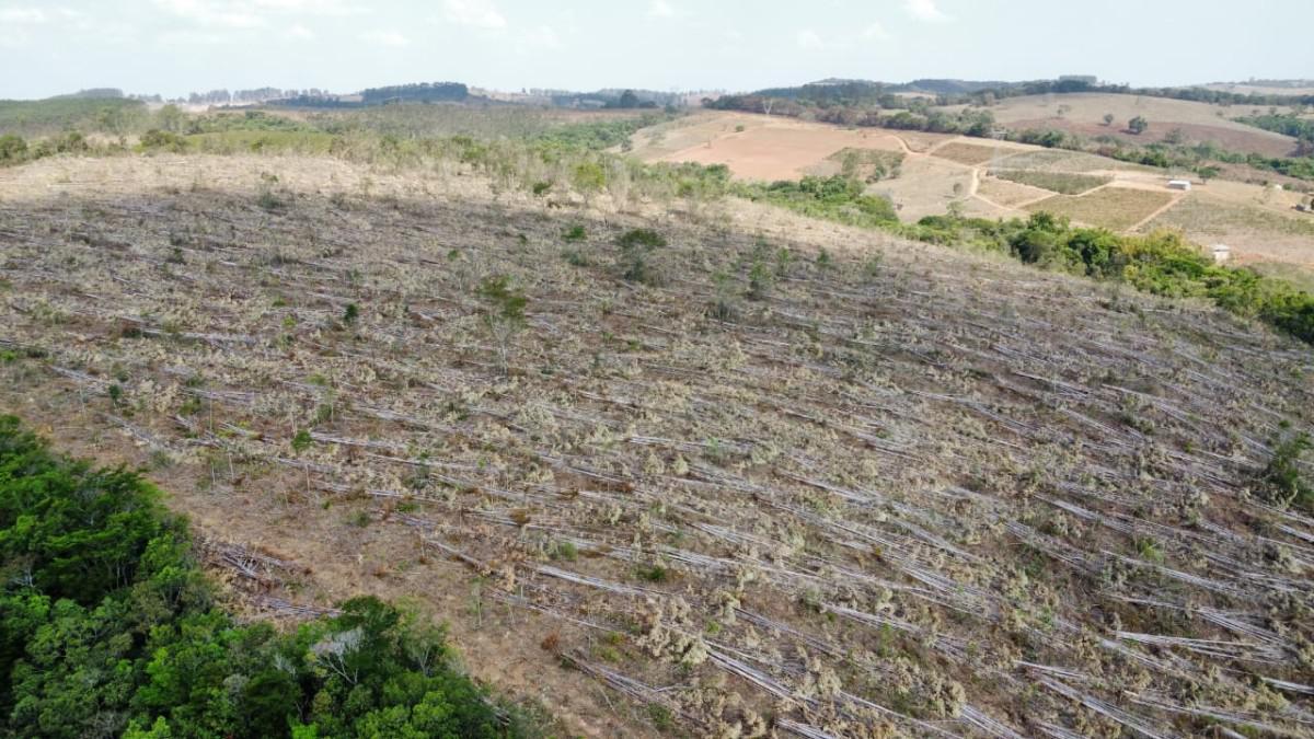 Fazenda, Zona Rural, 4 Quartos, 0 Vaga