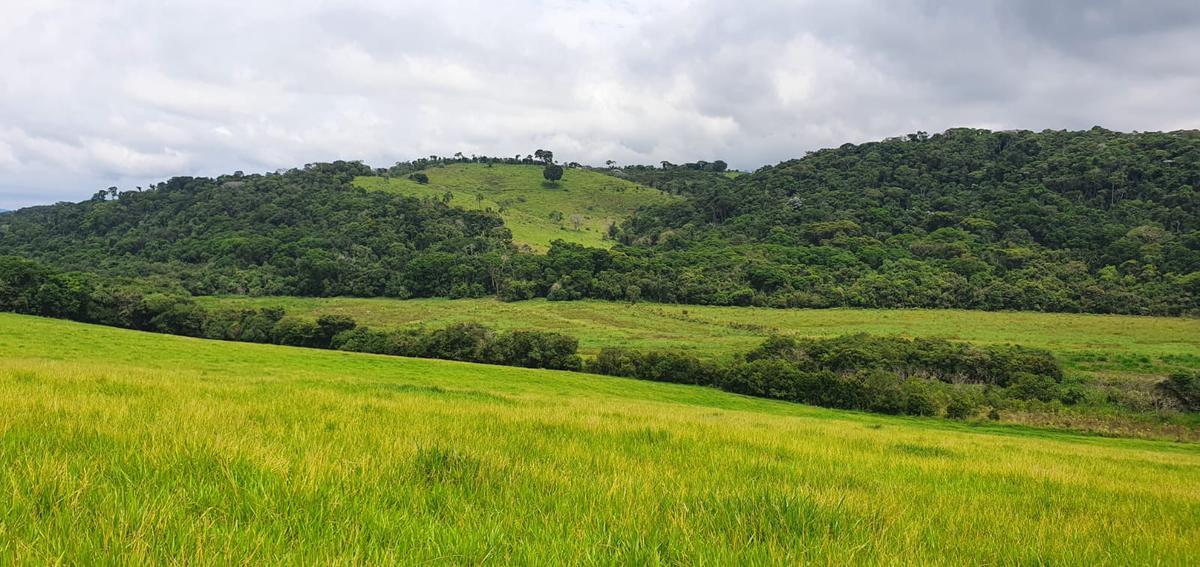 Fazenda, Centro, 4 Quartos, 2 Vagas, 1 Suíte