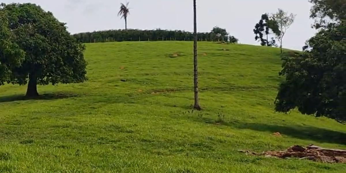 Fazenda, Zona Rural, 0 Quarto, 0 Vaga