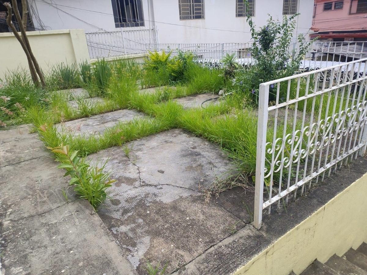 Lote, Floresta, 0 Quarto, 0 Vaga