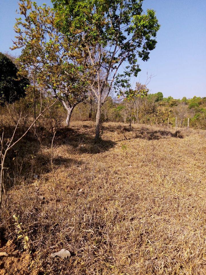 Lote, Zona Rural, 0 Quarto, 10 Vagas