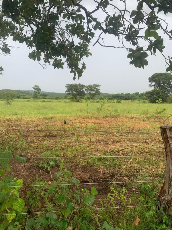 Fazenda, Zona Rural, 0 Quarto, 0 Vaga