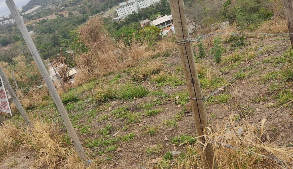 Lote, Santa Maria, 0 Quarto, 0 Vaga