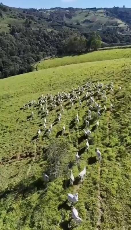 Fazenda, Zona Rural, 4 Quartos, 0 Vaga