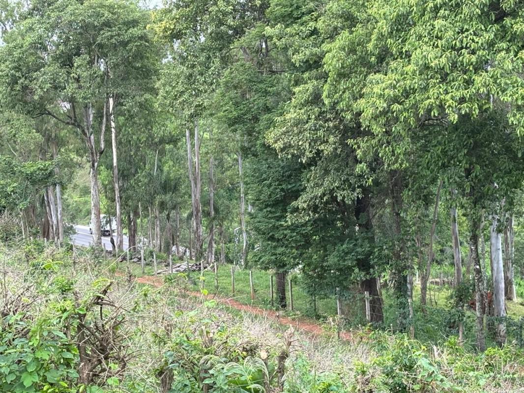 Fazenda, Zona Rural, 0 Quarto, 0 Vaga