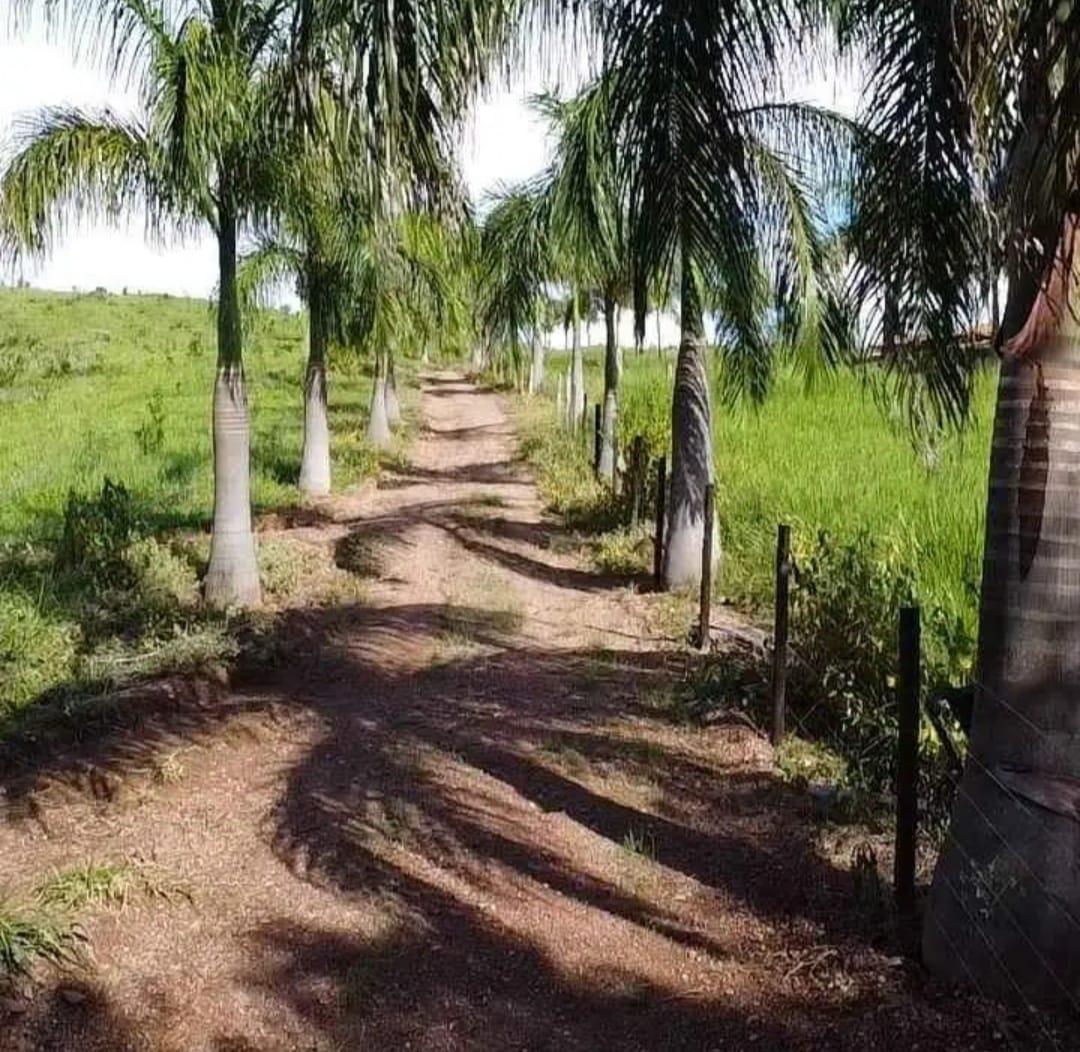 Fazenda, Zona Rural, 3 Quartos, 0 Vaga