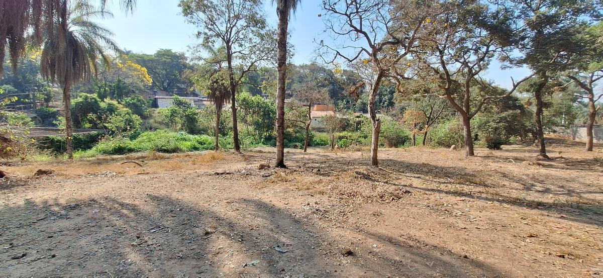 Lote, Chácara Cotia, 0 Quarto, 0 Vaga
