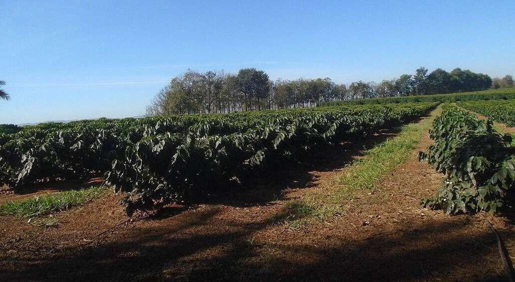 Fazenda, Zona Rural, 4 Quartos, 0 Vaga