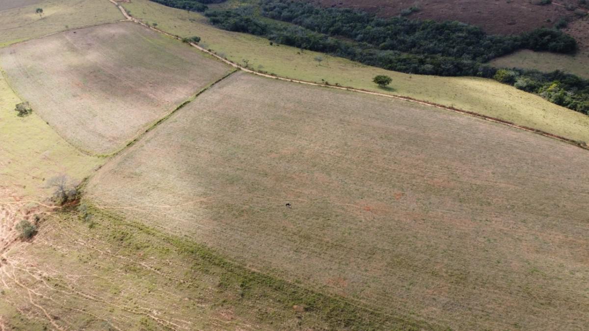 Fazenda, Zona Rural, 0 Quarto, 0 Vaga