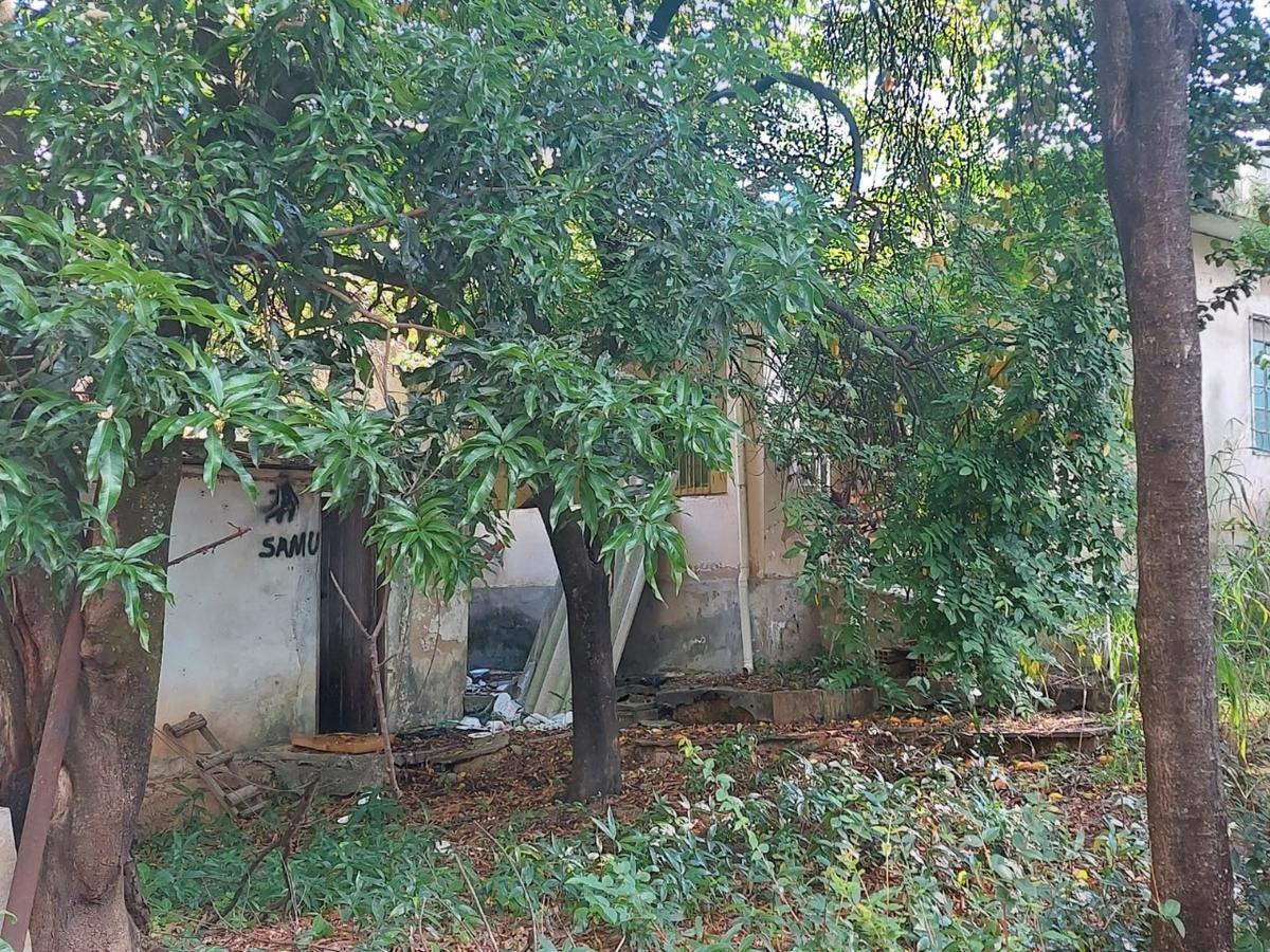 Lote, Ouro Preto, 0 Quarto, 0 Vaga