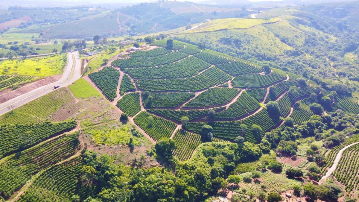 Fazenda, Centro, 0 Quarto, 0 Vaga
