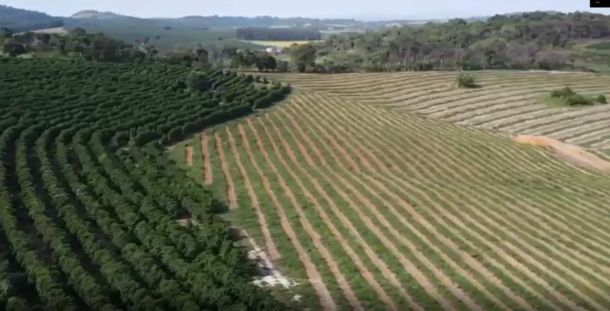Fazenda, Zona Rural, 0 Quarto, 0 Vaga
