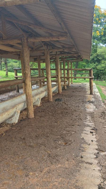 Fazenda, Centro, 3 Quartos, 100 Vagas