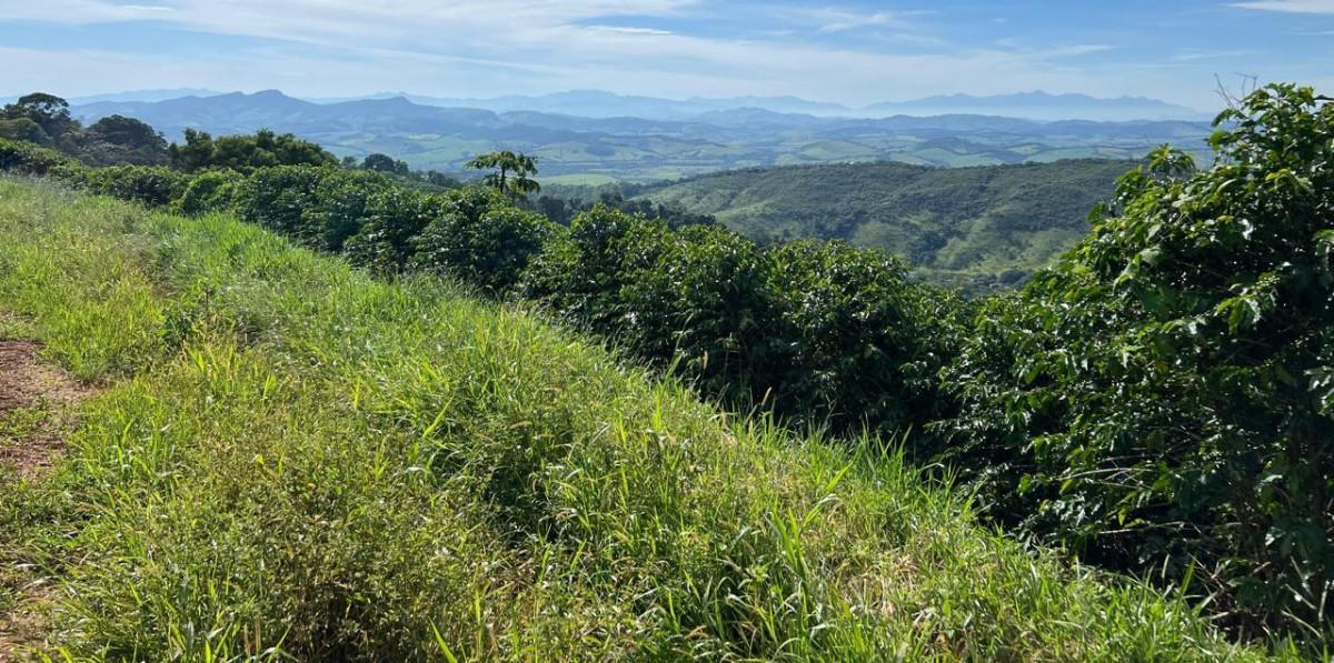 Fazenda, Zona Rural, 0 Quarto, 0 Vaga