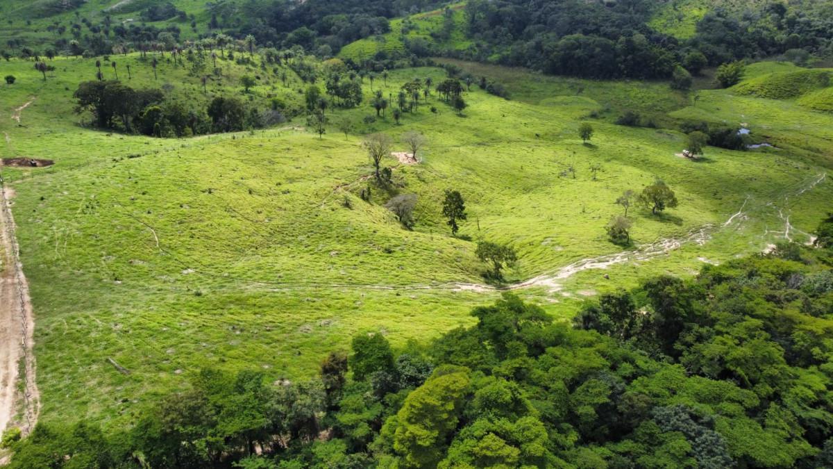 Fazenda, Centro, 0 Quarto, 0 Vaga