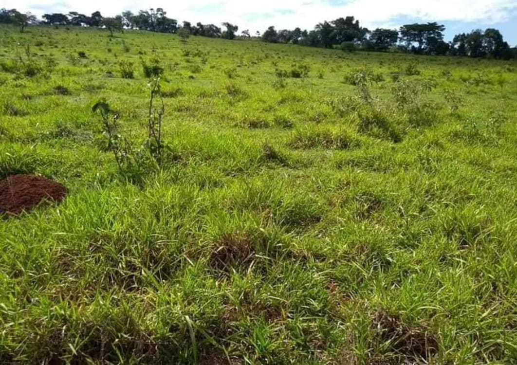 Fazenda, Zona Rural, 1 Quarto, 0 Vaga