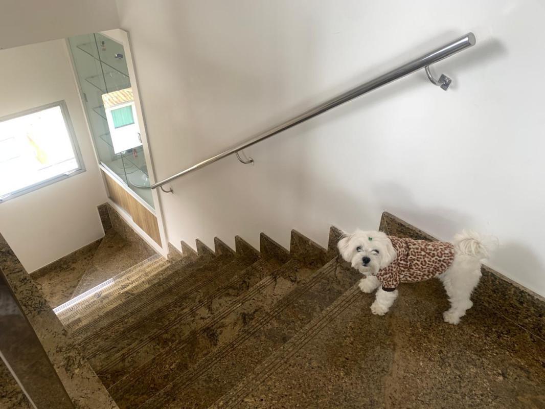 Cobertura, Castelo, 4 Quartos, 2 Vagas, 1 Suíte