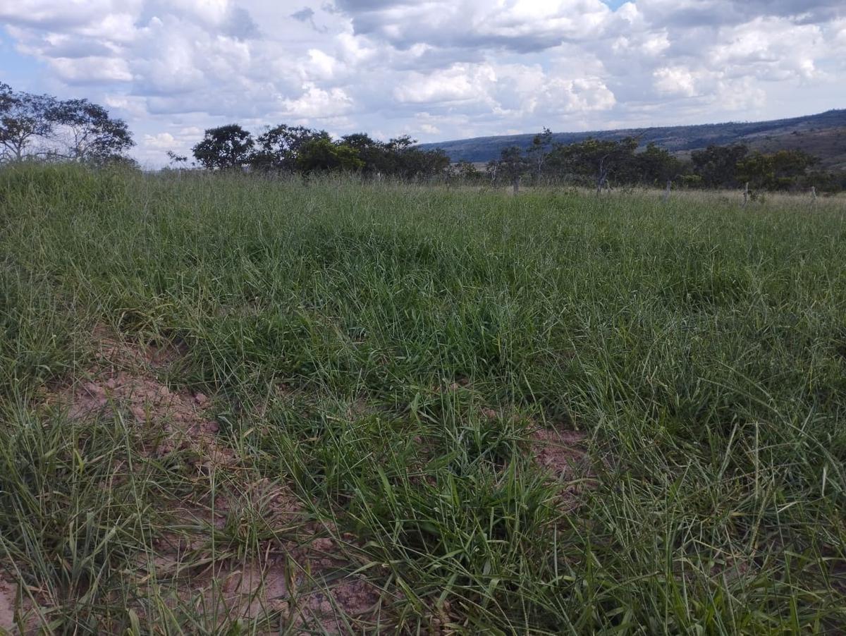 Fazenda, Zona Rural, 3 Quartos, 0 Vaga