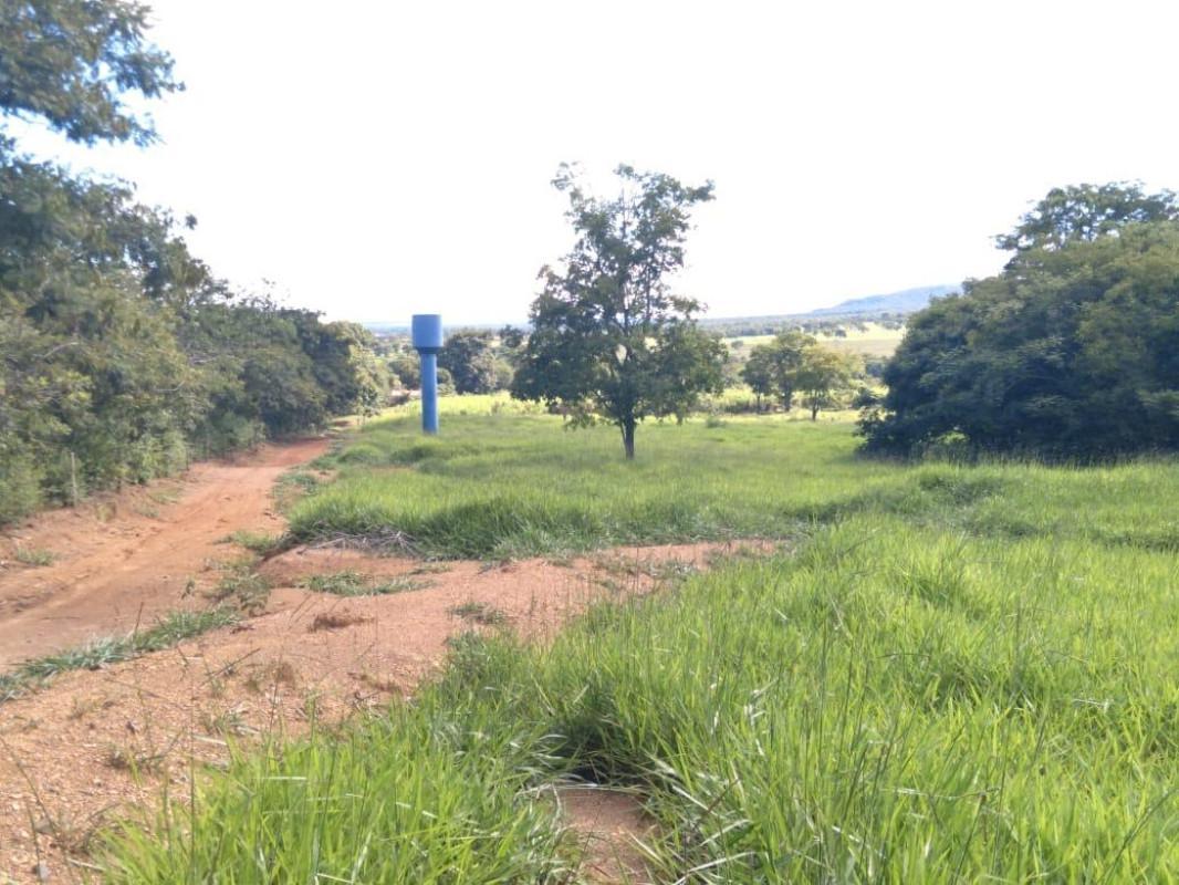 Fazenda, Centro, 0 Quarto, 0 Vaga