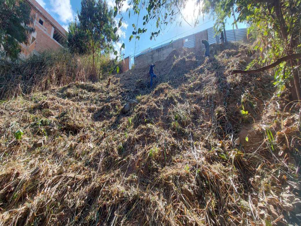 Lote, Havaí, 0 Quarto, 0 Vaga