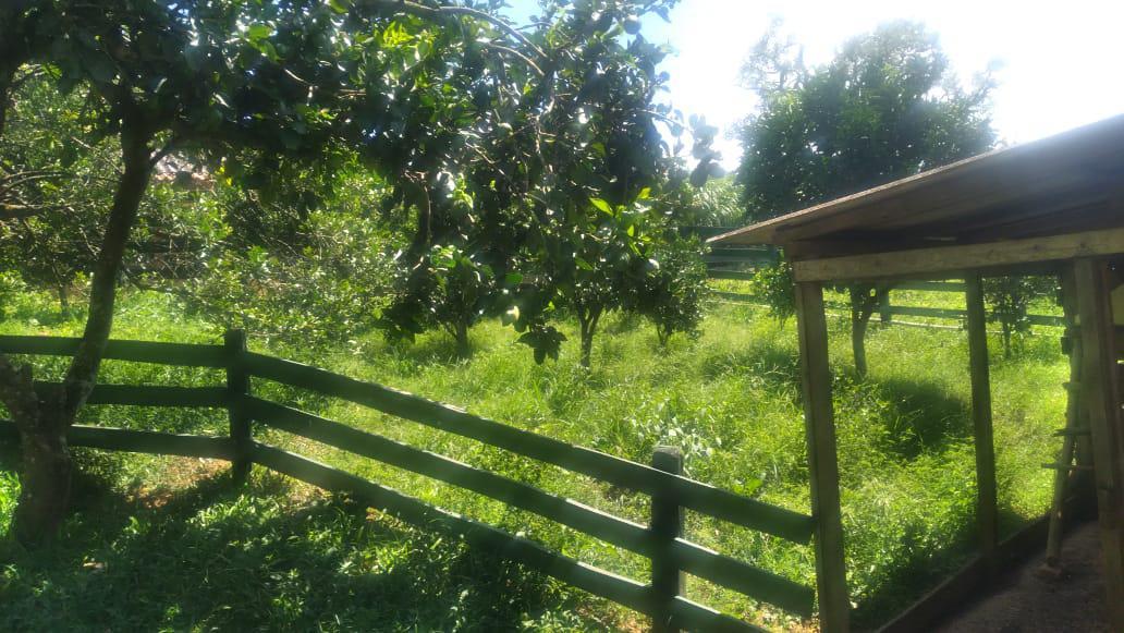 Fazenda, Zona Rural, 4 Quartos, 0 Vaga