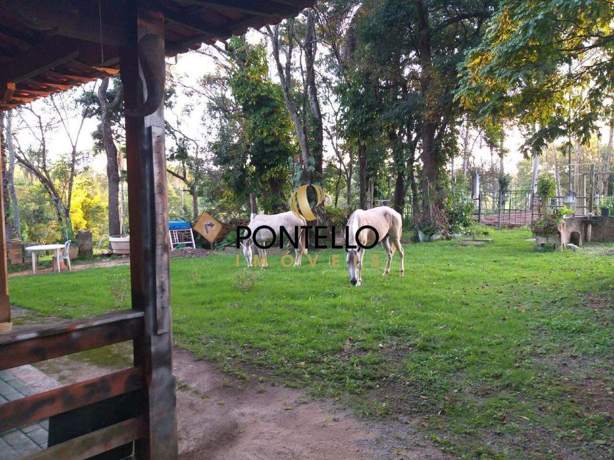 Lote, Vereda, 0 Quarto, 0 Vaga