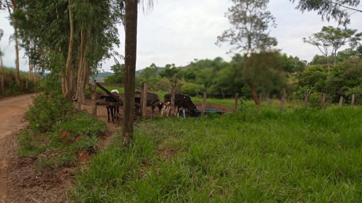 Fazenda, Centro, 6 Quartos, 3 Vagas